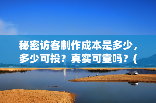 秘密访客制作成本是多少，多少可投？真实可靠吗？(秘密访客说明)