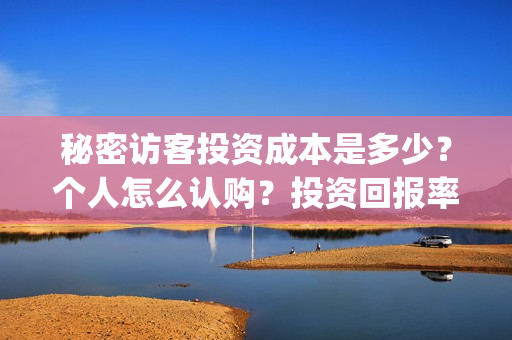 秘密访客投资成本是多少？个人怎么认购？投资回报率高吗？(秘密访客投资成功了吗)