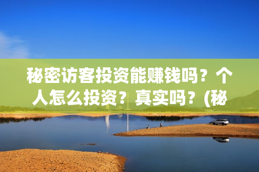 秘密访客投资能赚钱吗？个人怎么投资？真实吗？(秘密访客投资能赚钱吗)