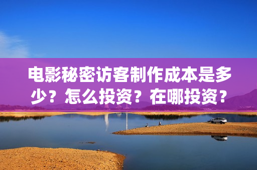 电影秘密访客制作成本是多少？怎么投资？在哪投资？(电影秘密访客制片人是谁)