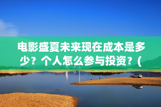 电影盛夏未来现在成本是多少？个人怎么参与投资？(电影 盛夏未来)