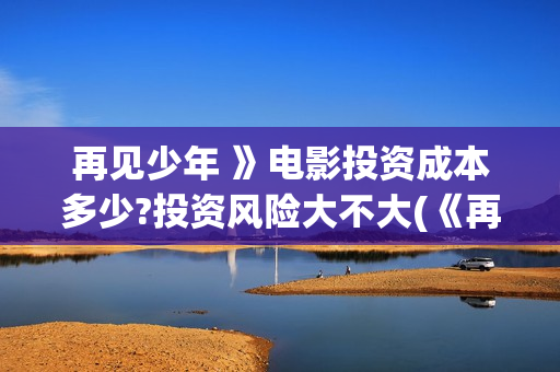 再见少年 》电影投资成本多少?投资风险大不大(《再见少年》)