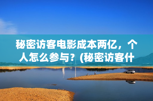 秘密访客电影成本两亿，个人怎么参与？(秘密访客什么电影)