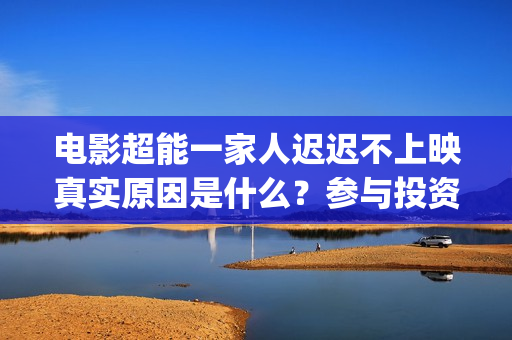 电影超能一家人迟迟不上映真实原因是什么？参与投资会有收益保障吗？(电影超能一家人演员表)