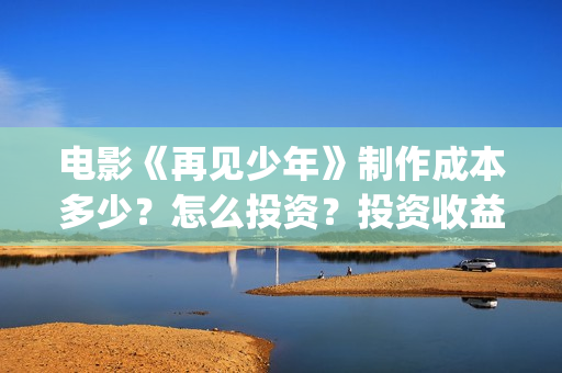 电影《再见少年》制作成本多少？怎么投资？投资收益怎么算？(再见少年电影演员)