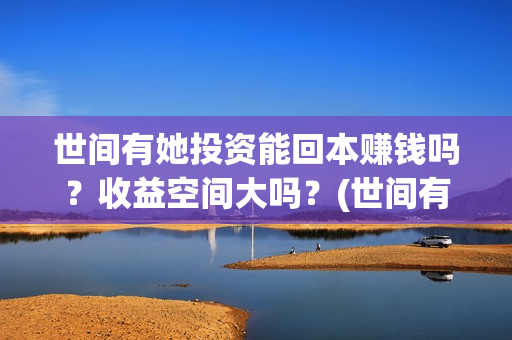 世间有她投资能回本赚钱吗？收益空间大吗？(世间有她投资成本)