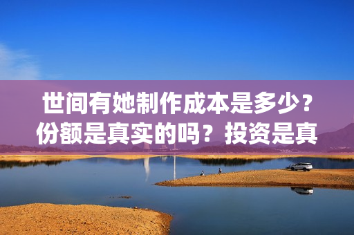 世间有她制作成本是多少？份额是真实的吗？投资是真的假的？(世间有她题材)