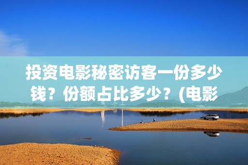 投资电影秘密访客一份多少钱？份额占比多少？(电影秘密百度百科)