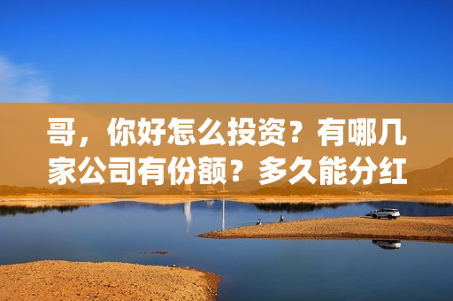 哥，你好怎么投资？有哪几家公司有份额？多久能分红？(哥哥你好怎么说)
