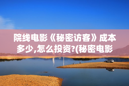 院线电影《秘密访客》成本多少,怎么投资?(秘密电影百度百科)