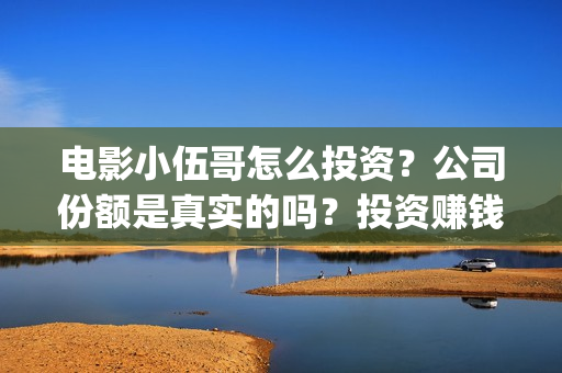 电影小伍哥怎么投资？公司份额是真实的吗？投资赚钱吗？(电影小伍哥预估票房)