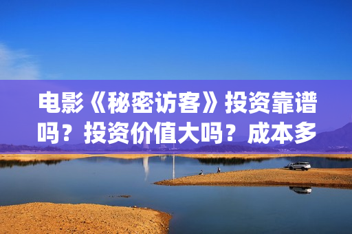 电影《秘密访客》投资靠谱吗？投资价值大吗？成本多少？(电影,秘密访客)