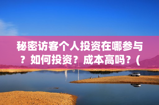秘密访客个人投资在哪参与？如何投资？成本高吗？(秘密访客访客)