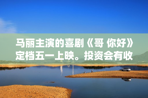 马丽主演的喜剧《哥 你好》定档五一上映。投资会有收益保障吗？(喜剧演员马丽的搭档是谁)