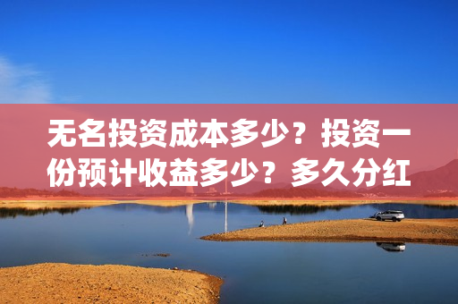 无名投资成本多少?投资一份预计收益多少?多久分红?(无名创投) 无名投资成本多少?投资一份预计收益多少?多久分红?(无名创投)