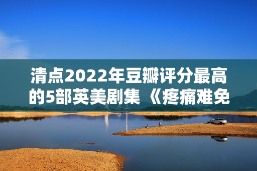 清点2022年豆瓣评分最高的5部英美剧集 《疼痛难免》评分最高