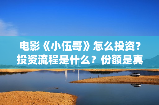 电影《小伍哥》怎么投资？投资流程是什么？份额是真实的吗？(电影小伍哥上映时间)