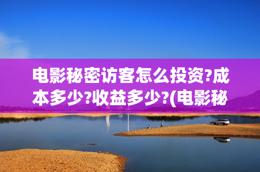 电影秘密访客怎么投资?成本多少?收益多少?(电影秘密访客视频)