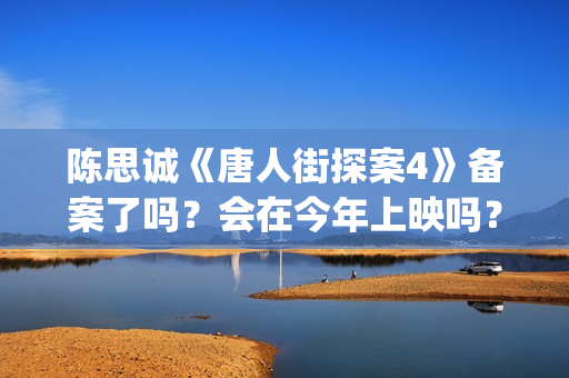 陈思诚《唐人街探案4》备案了吗？会在今年上映吗？投资可以参与吗？(唐人街导演陈思诚老婆)