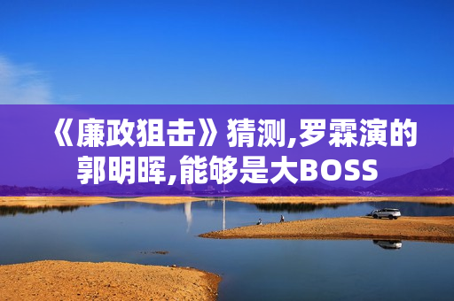 《廉政狙击》猜测,罗霖演的郭明晖,能够是大BOSS
