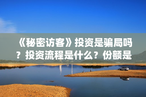 《秘密访客》投资是骗局吗？投资流程是什么？份额是真实的吗？(秘密访客剧)