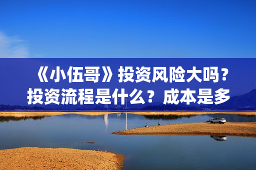 《小伍哥》投资风险大吗？投资流程是什么？成本是多少？(小伍哥能投)