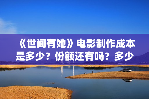 《世间有她》电影制作成本是多少？份额还有吗？多少钱一份？(世间有她电影剧情介绍)