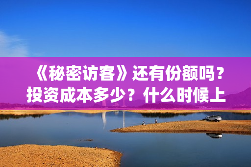 《秘密访客》还有份额吗？投资成本多少？什么时候上映？——抵制阿迪达斯(秘密访客演的什么玩意)