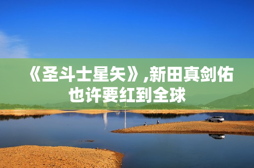 《圣斗士星矢》,新田真剑佑也许要红到全球