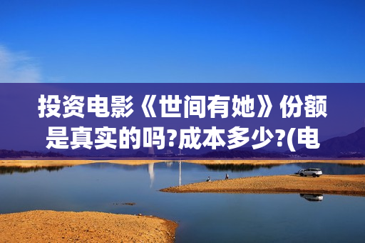 投资电影《世间有她》份额是真实的吗?成本多少?(电视剧世间)
