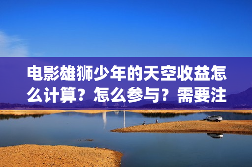 电影雄狮少年的天空收益怎么计算？怎么参与？需要注意什么？(雄狮少年预告片)