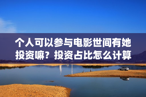 个人可以参与电影世间有她投资嘛？投资占比怎么计算(个人可以做电商吗)