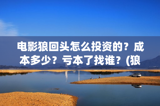 电影狼回头怎么投资的？成本多少？亏本了找谁？(狼回头视频)