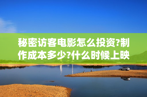秘密访客电影怎么投资?制作成本多少?什么时候上映?(秘密访客电影啥意思)