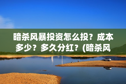 暗杀风暴投资怎么投？成本多少？多久分红？(暗杀风暴演员)