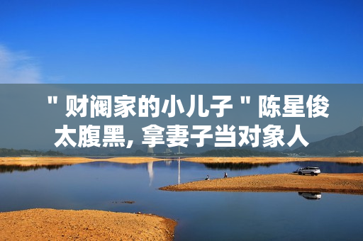 ＂财阀家的小儿子＂陈星俊太腹黑, 拿妻子当对象人