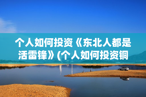个人如何投资《东北人都是活雷锋》(个人如何投资铜)