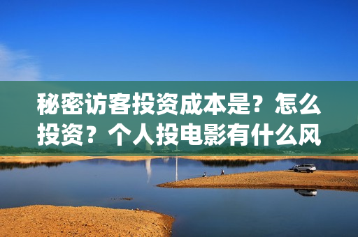 秘密访客投资成本是？怎么投资？个人投电影有什么风险吗？(秘密访客深意)