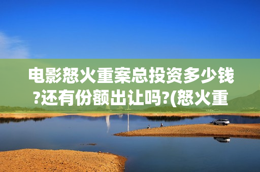 电影怒火重案总投资多少钱?还有份额出让吗?(怒火重案正片片段)
