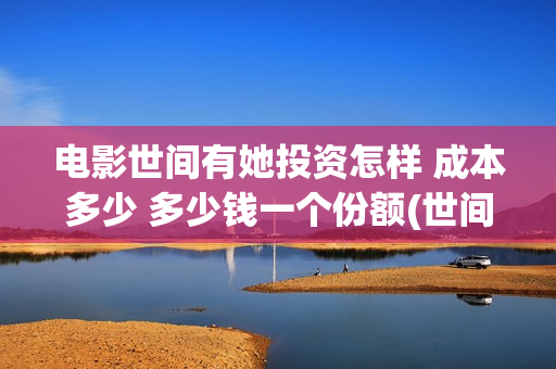 电影世间有她投资怎样 成本多少 多少钱一个份额(世间有她电影预告)