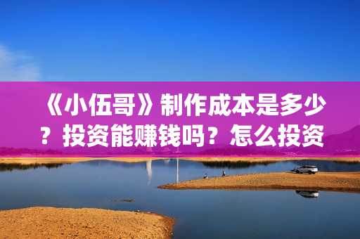 《小伍哥》制作成本是多少？投资能赚钱吗？怎么投资(电影小伍哥是哪家公司制片的)