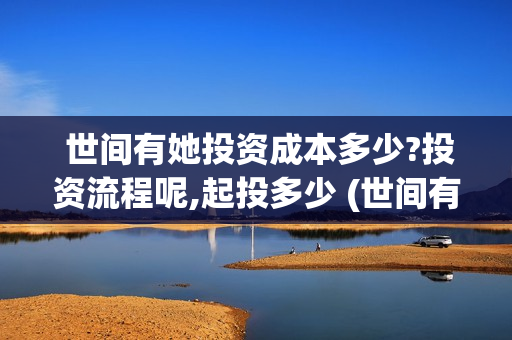  世间有她投资成本多少?投资流程呢,起投多少 (世间有她能投吗)