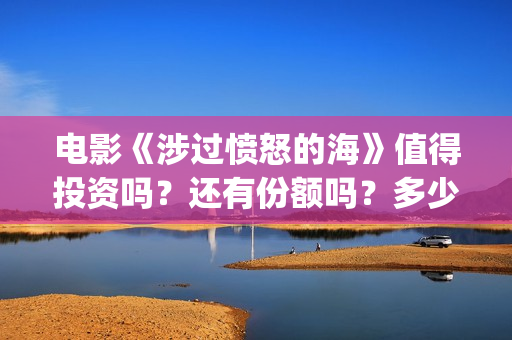 电影《涉过愤怒的海》值得投资吗？还有份额吗？多少起投？(涉过愤怒的河小说免费阅读)