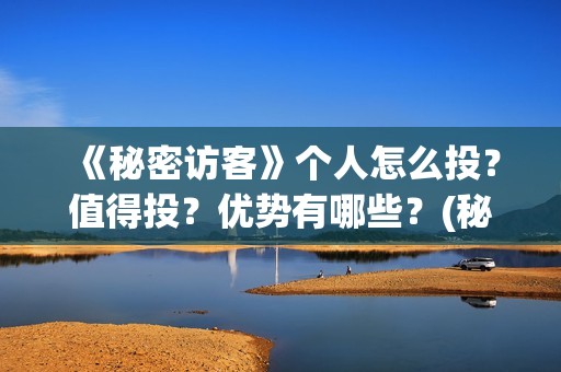 《秘密访客》个人怎么投？值得投？优势有哪些？(秘密访客详细剧情)