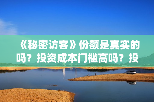 《秘密访客》份额是真实的吗？投资成本门槛高吗？投资流程是什么？(秘密访客2019)