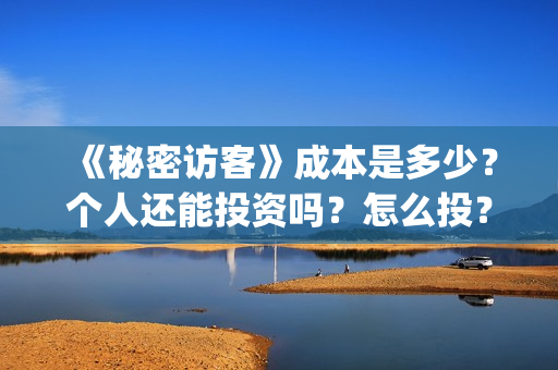 《秘密访客》成本是多少？个人还能投资吗？怎么投？(秘密访客到底演了什么)