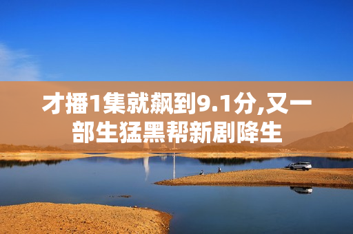 才播1集就飙到9.1分,又一部生猛黑帮新剧降生