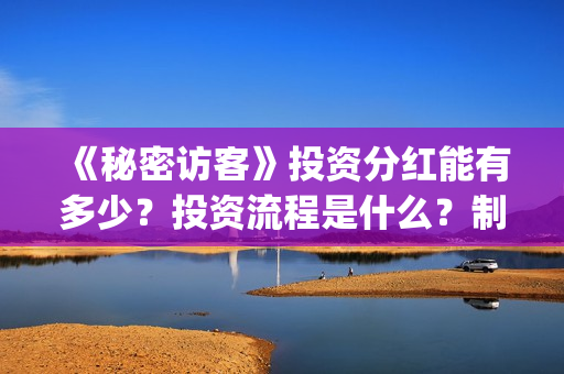 《秘密访客》投资分红能有多少？投资流程是什么？制作成本是多少？(《秘密访客》投资多少钱)