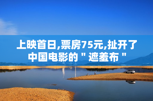 上映首日,票房75元,扯开了中国电影的＂遮羞布＂