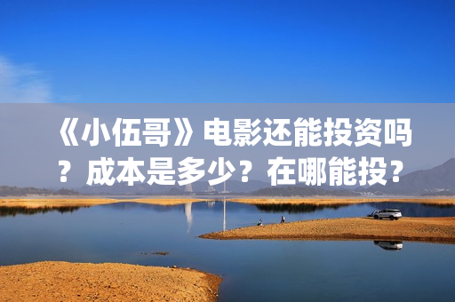 《小伍哥》电影还能投资吗？成本是多少？在哪能投？份额还有吗？(小伍哥在线观看)